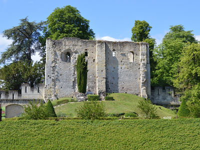 le Chateaux de Langeais