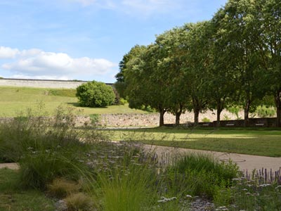 Abbaye de Fontrevraud