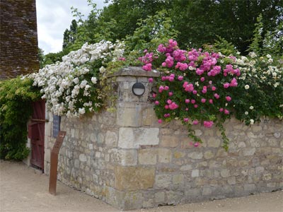 Prieure de Saint-Cosme