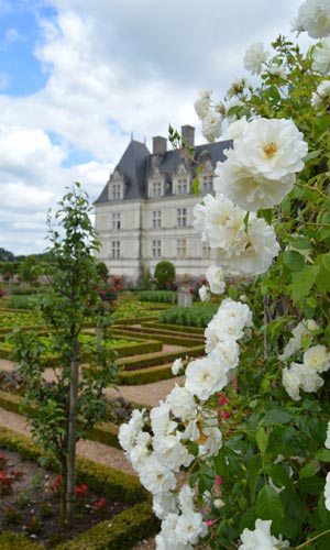 le Château de Villandry