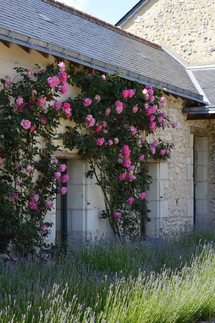 Forfait Mariage et Reception